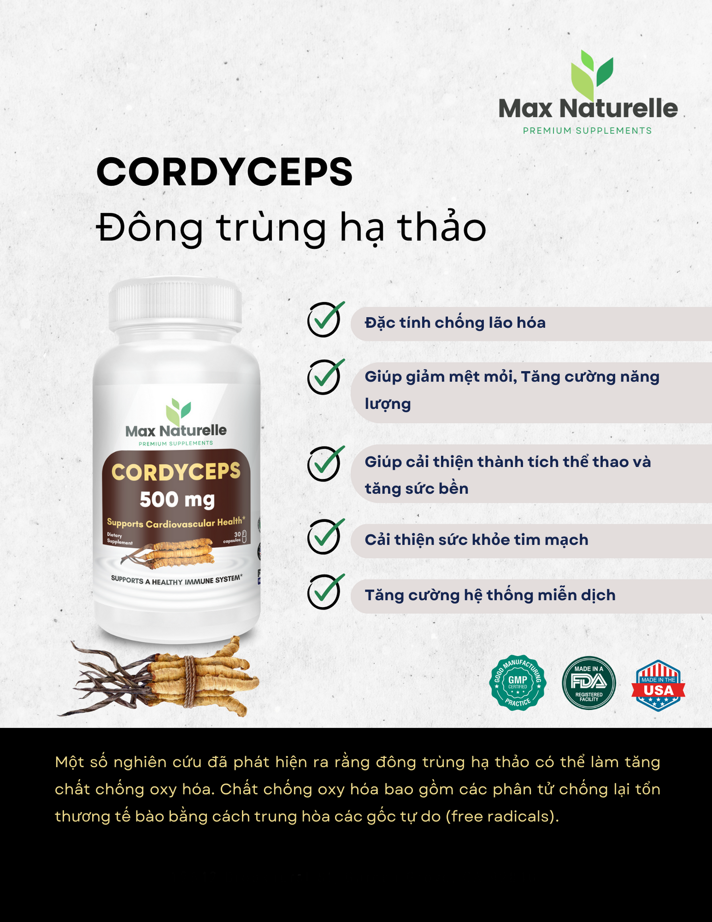 CORDYCEPS