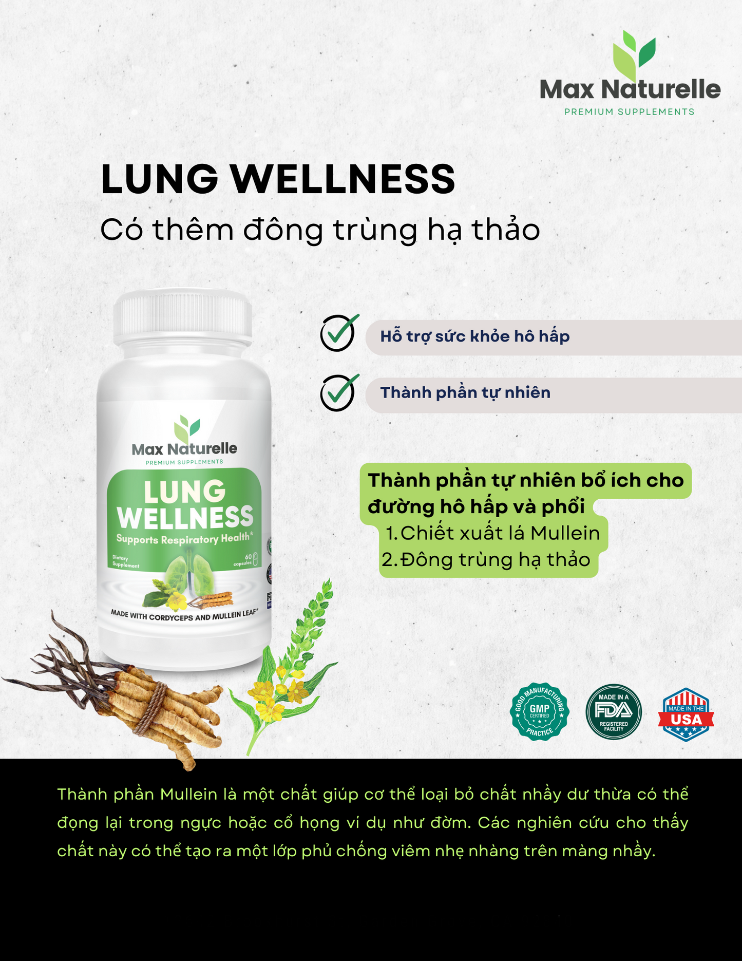 LUNG WELLNESS